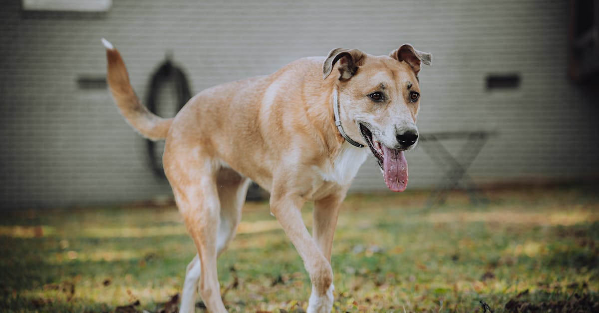 政治:何昱奇:不必爭論誰「竊國」,更不應竊走下一代未來