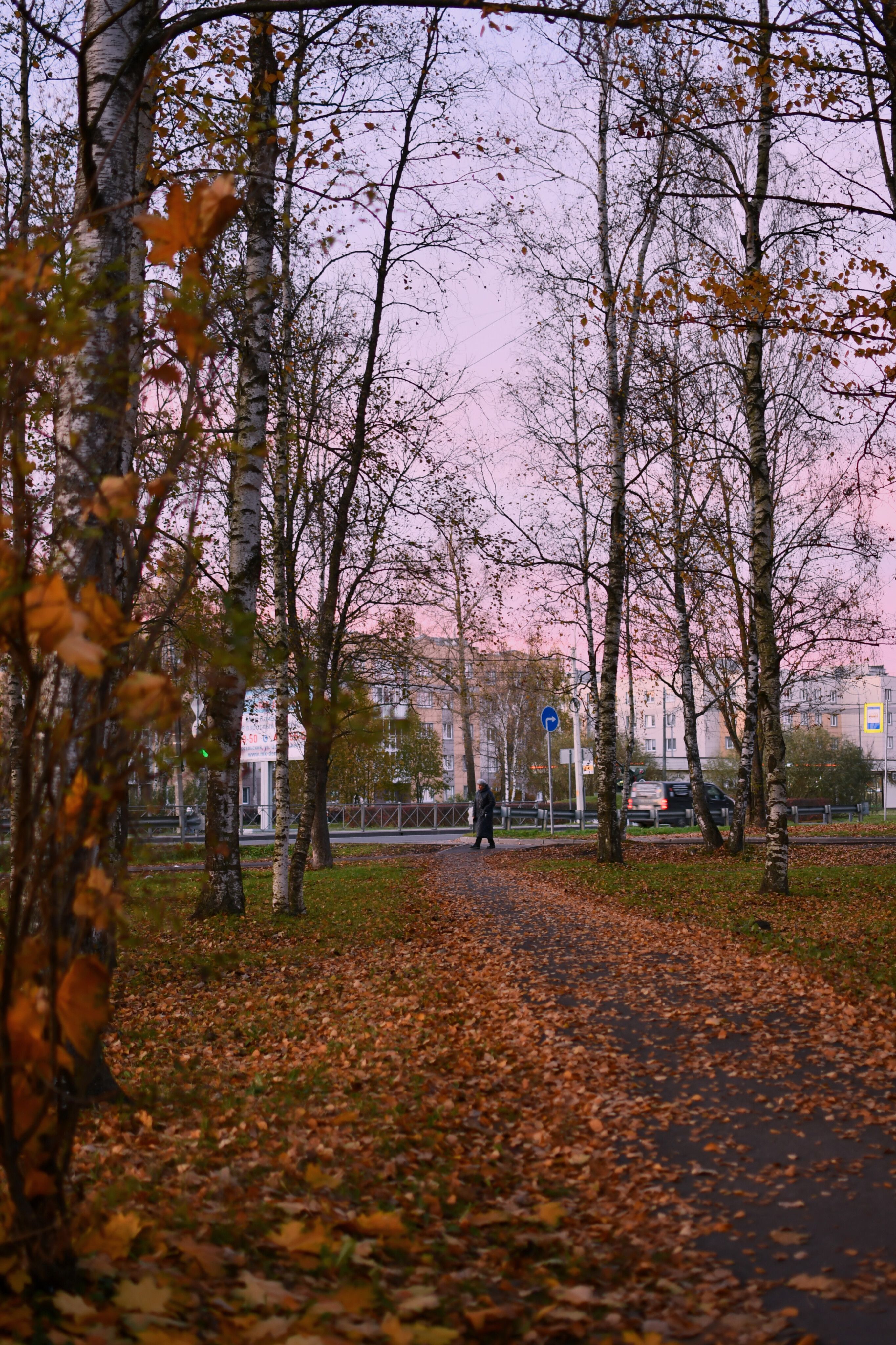 A peaceful autumn evening in a city park with colorful leaves and birch trees.