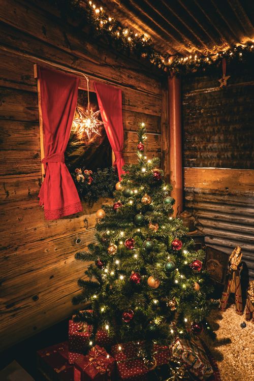 Free Warm and festive Christmas tree setting in a rustic wooden cabin interior. Stock Photo