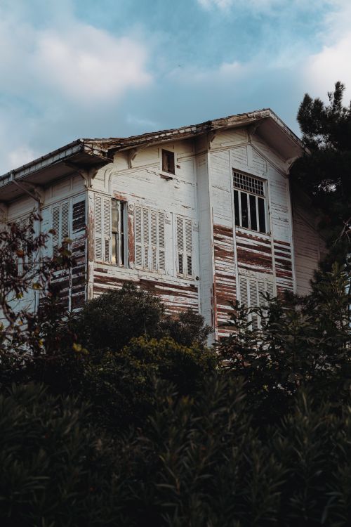 Free A rustic wooden house surrounded by lush greenery under a blue sky. Stock Photo