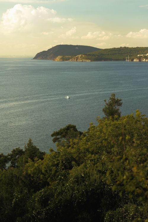 Free A serene ocean landscape with lush greenery and distant hills under a bright sky. Stock Photo