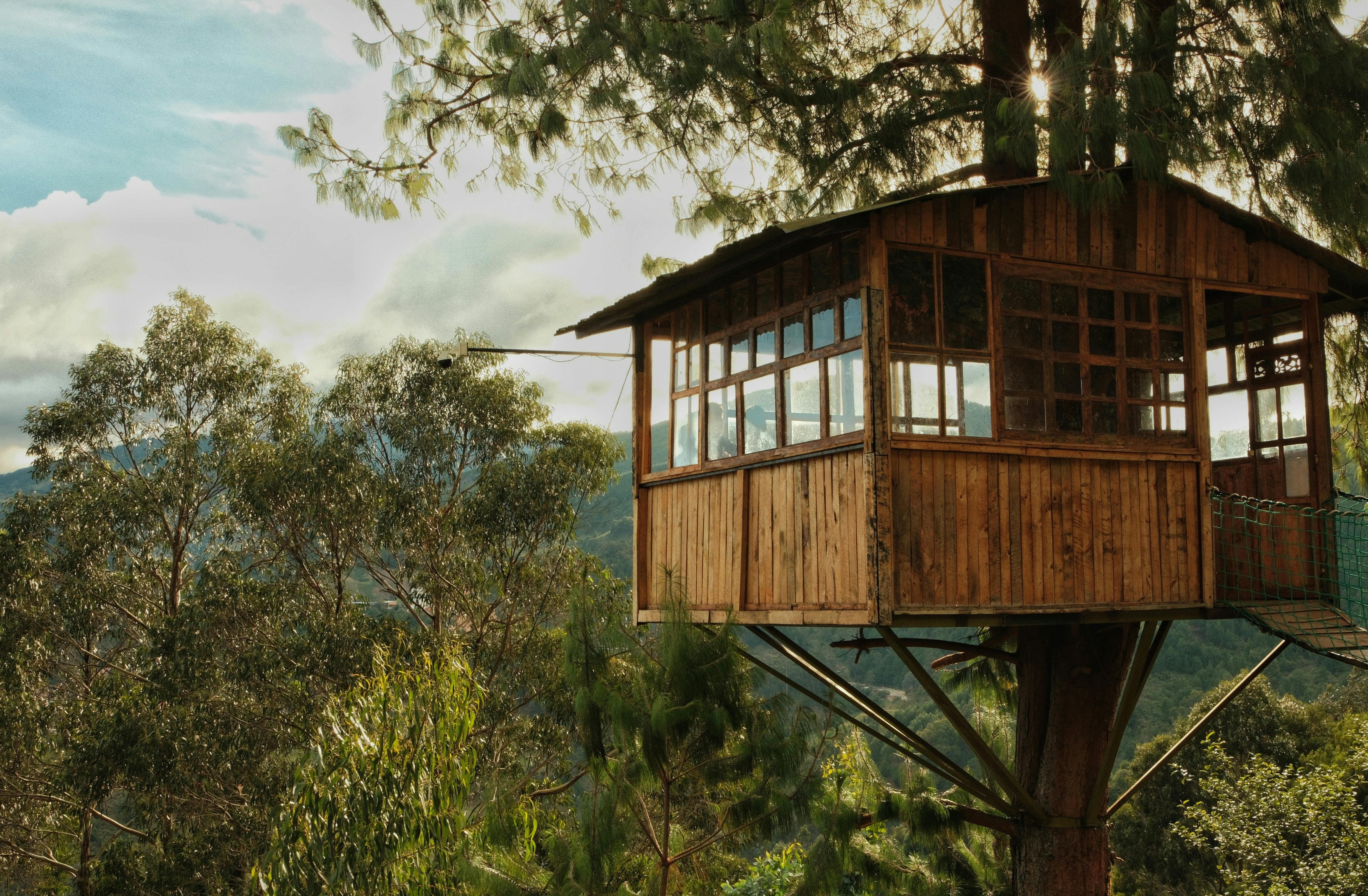Discover The Best Treehouses In Sri Lanka