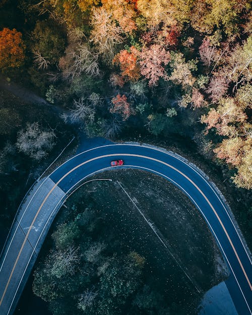 Luchtfotografie Van Auto Rijden Op De Weg Tussen Bomen