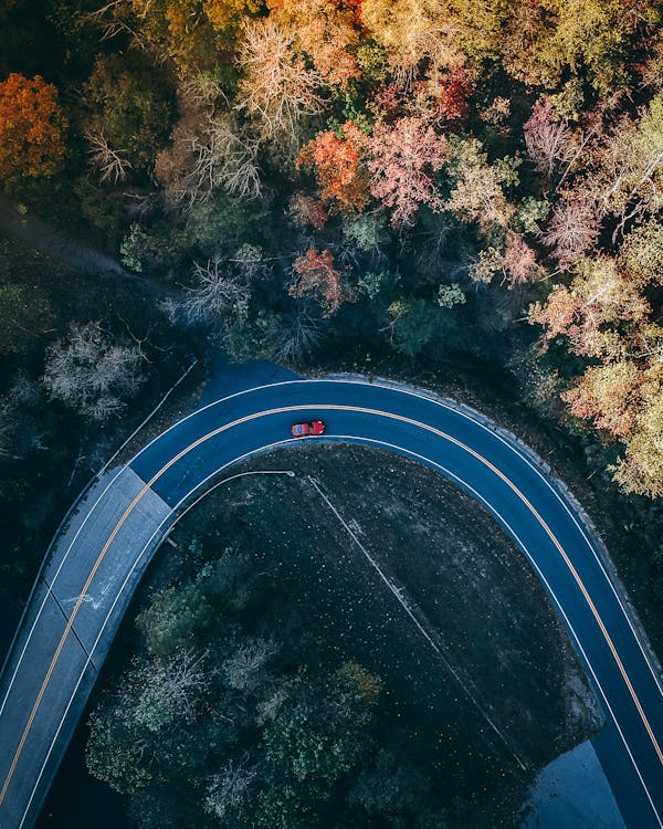 Aerial Photography of Car Driving on Road Between Trees