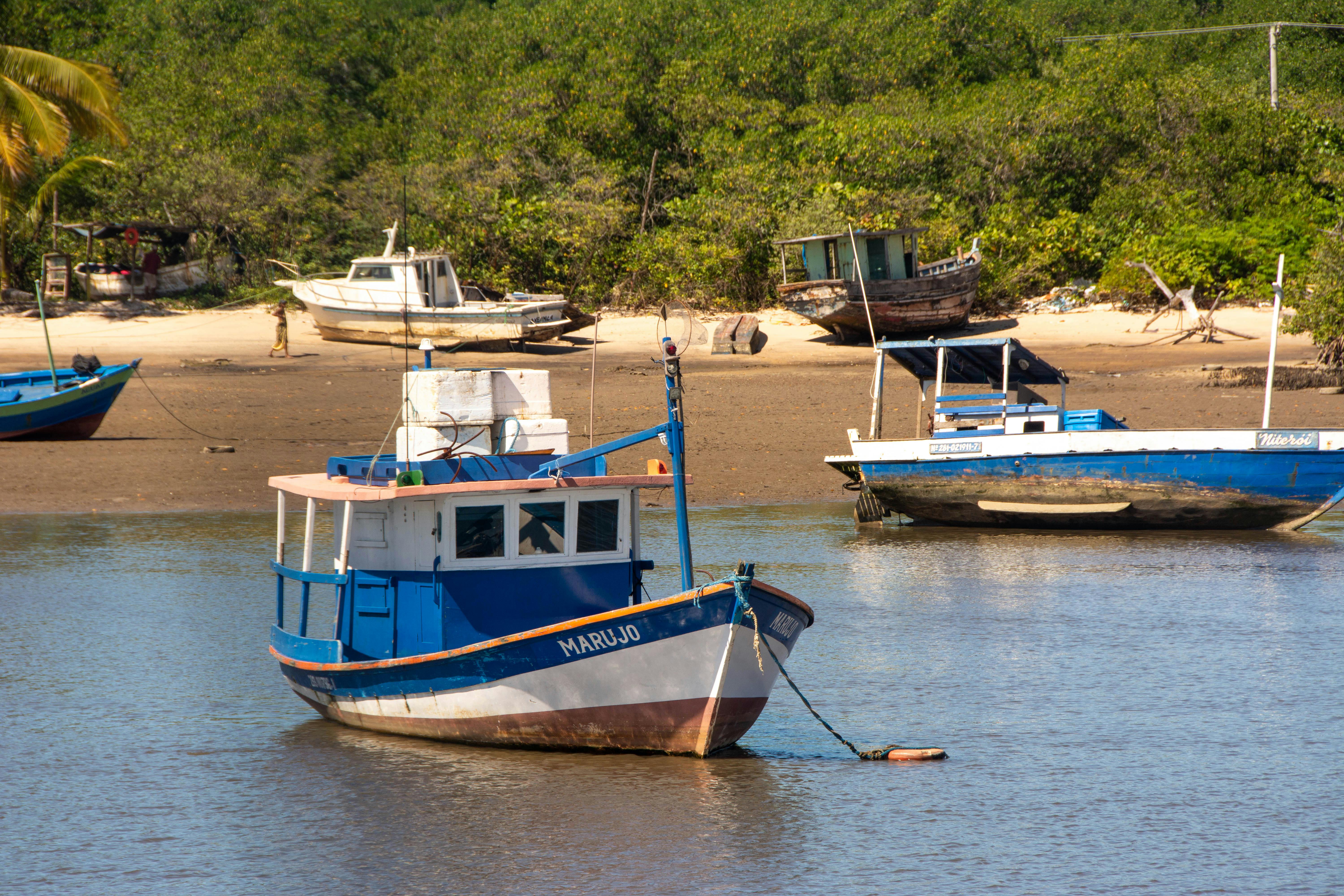 生活：金門表揚56位好人好事代表 弘揚正向力量