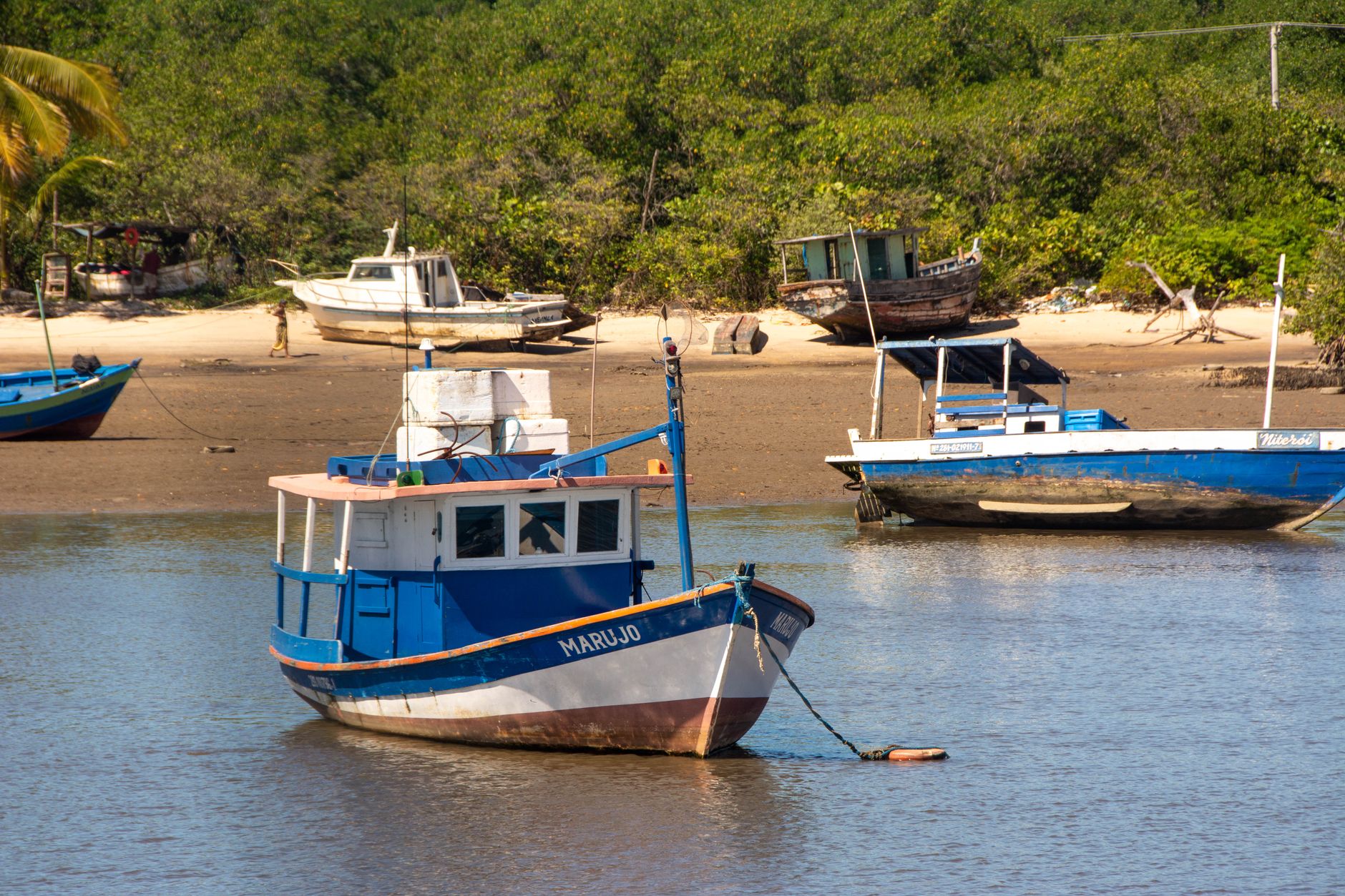 Porto do Piauí Realiza Primeira Exportação de Minério Nesta Semana