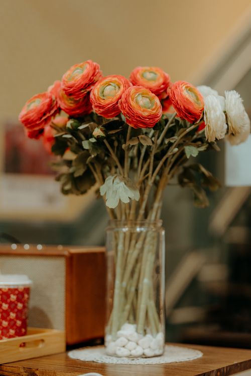 Free A charming bouquet of ranunculus in a clear vase adds elegance indoors. Stock Photo
