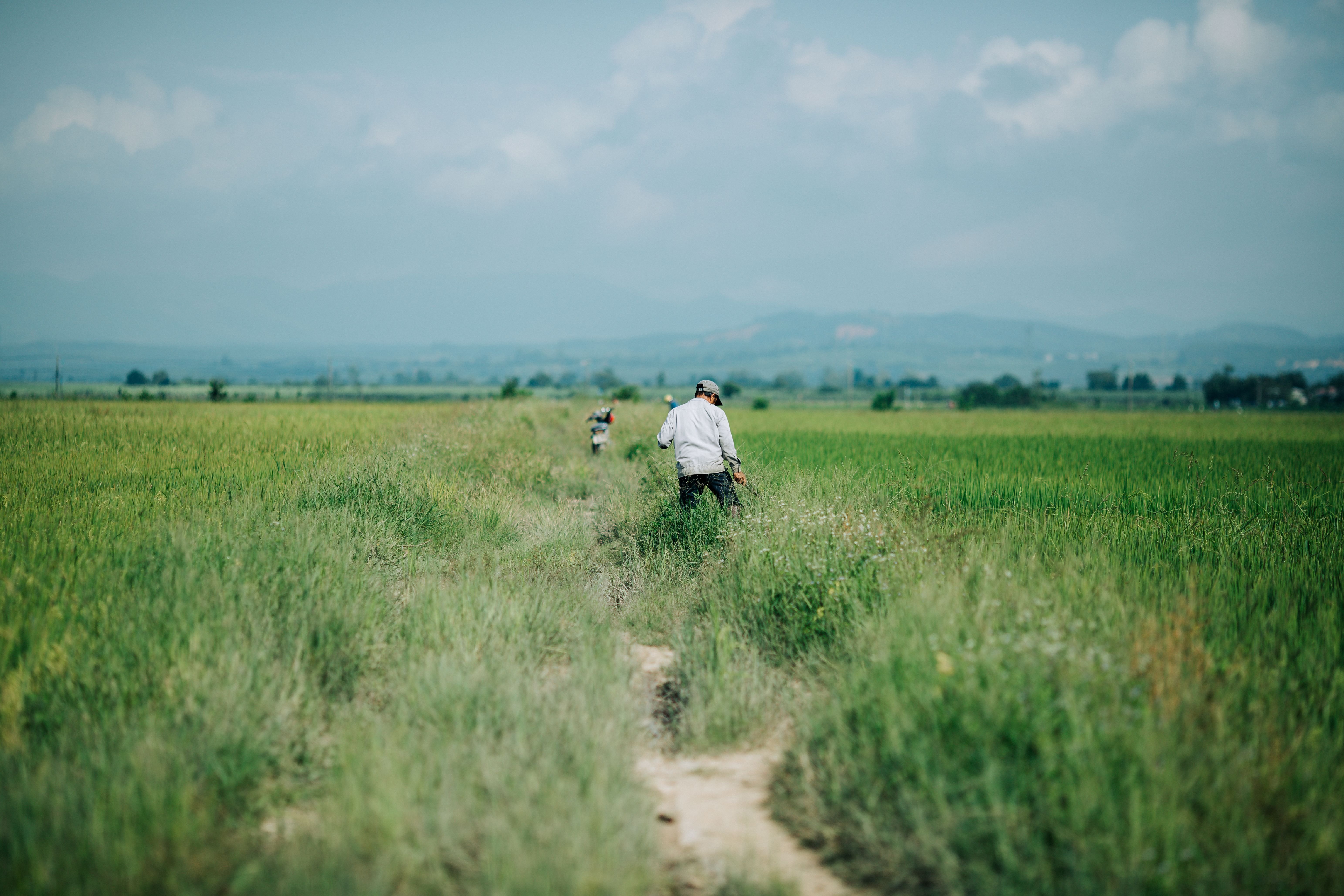 Farmers Working in Lush Vietnamese Field · Free Stock Photo