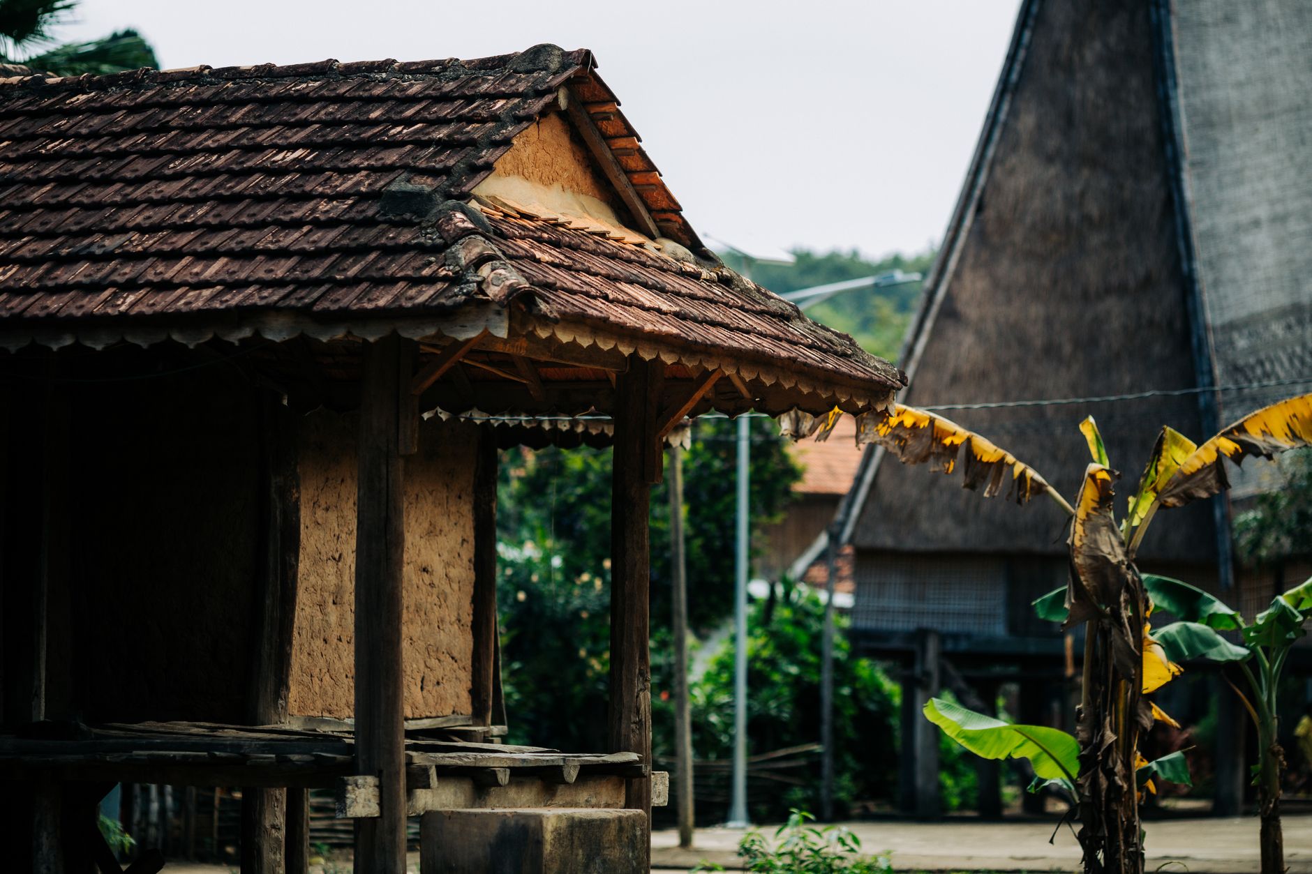 Charming traditional wooden house in Kon Tum, Vietnam, showcasing rural architecture amidst lush greenery.