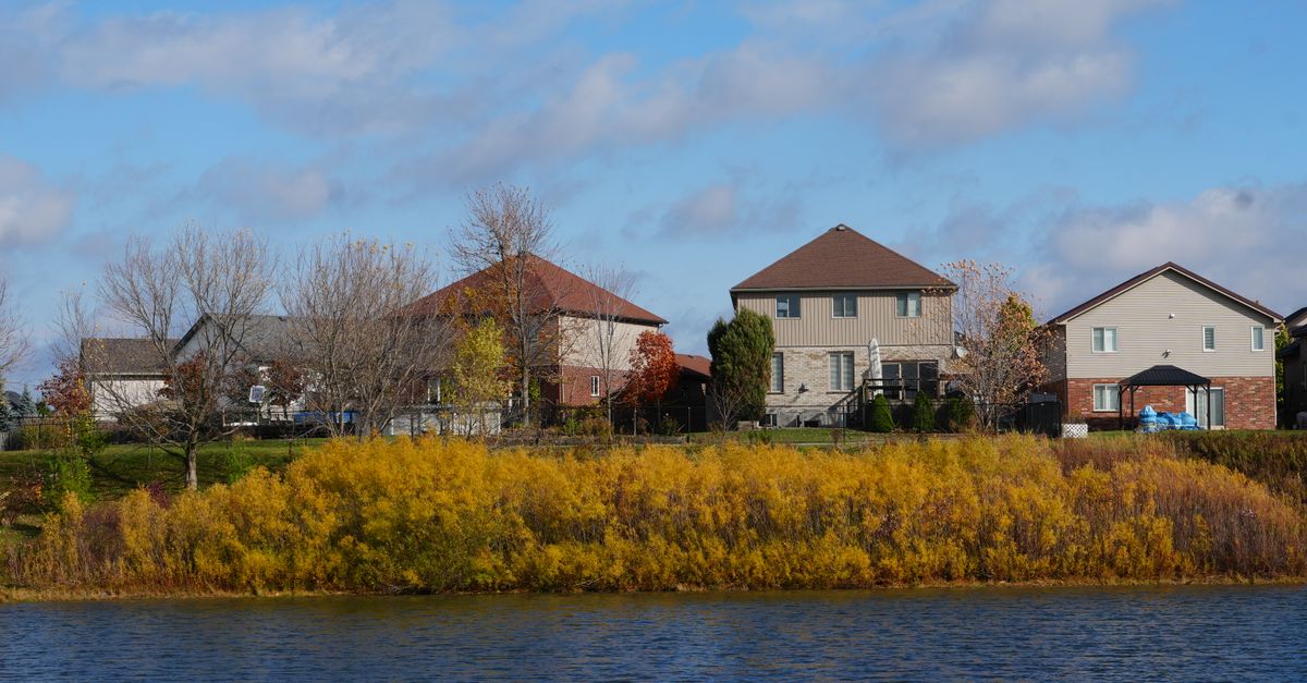 Peaceful view of suburban homes by a lake with autumn foliage.
