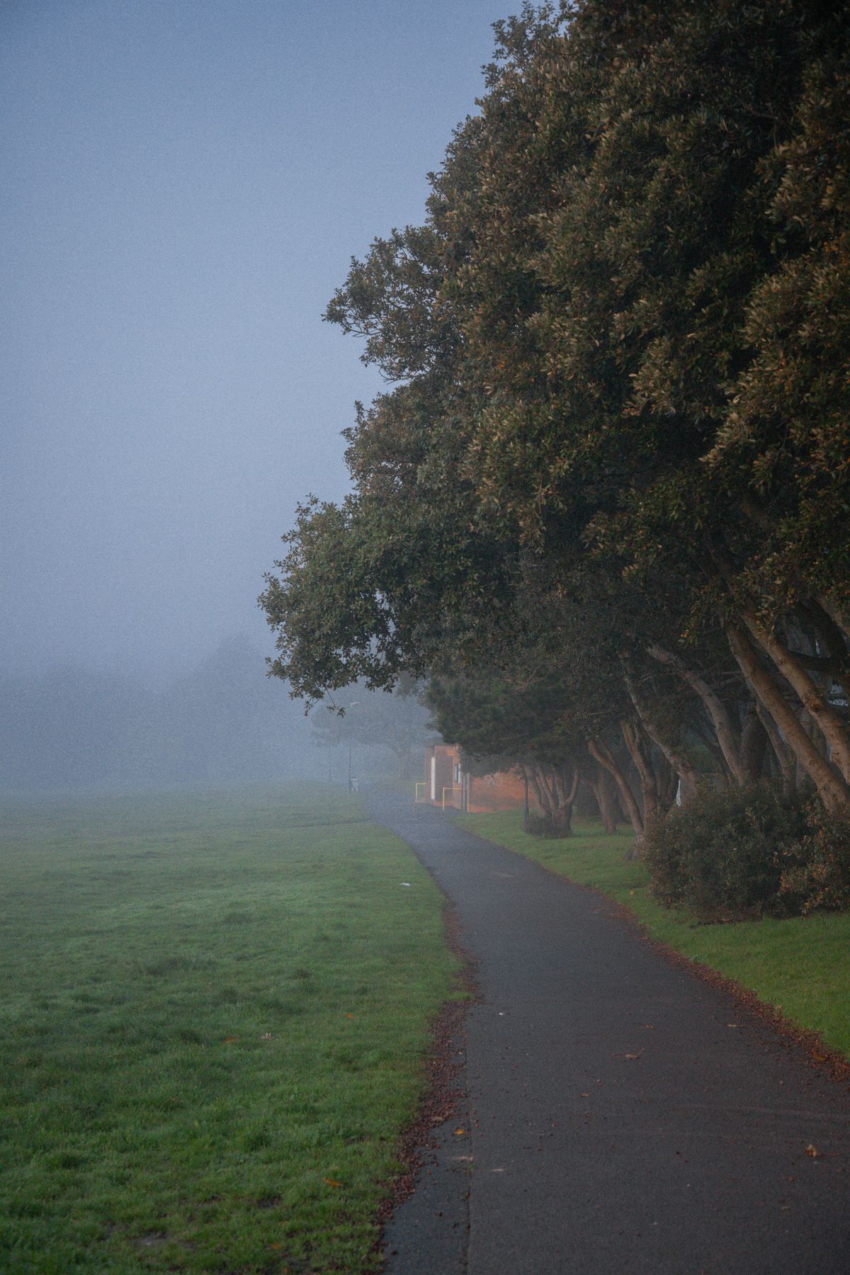 Foggy tree-lined path in a Bournemouth park, ready for a morning walk