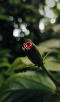 Image by Ashwin  Kp