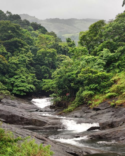 Free Serene waterfall and lush forest in Kerala, India creating a moody natural scene. Stock Photo