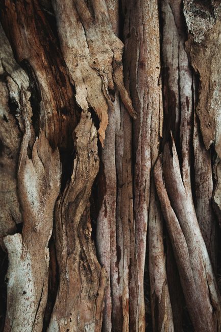 Photo by Tim Mossholder on pexels