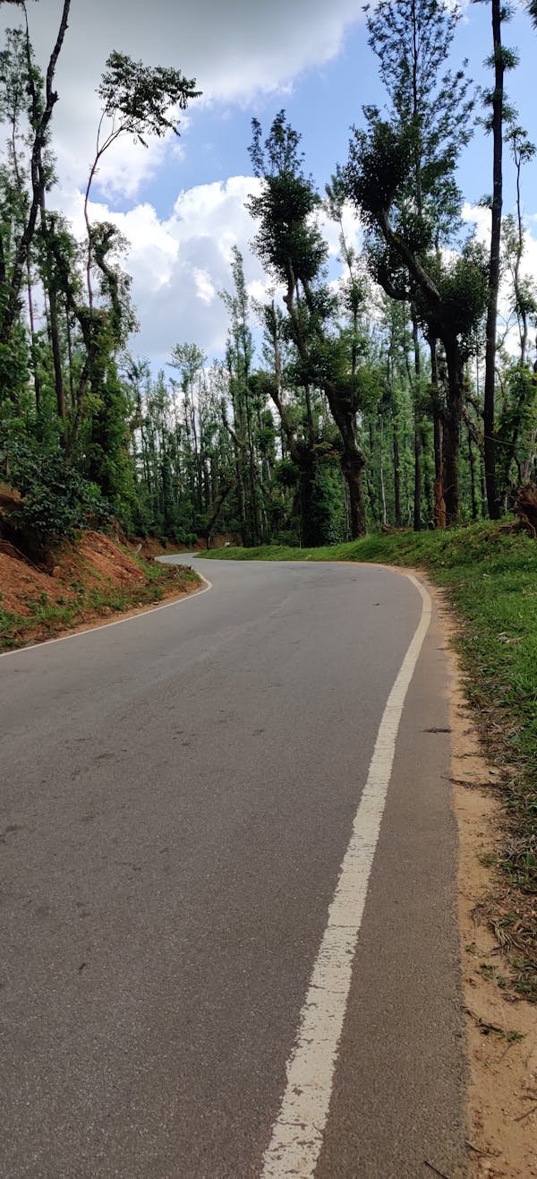 에이다 코인 카지노 trust dice - 바카라무료체험