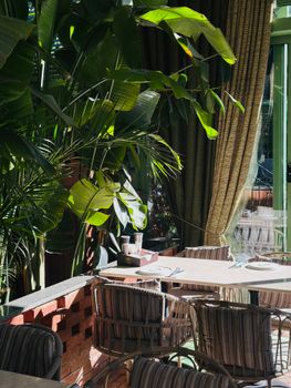 Inviting cafe corner in İstanbul with vibrant plants and stylish decor, ideal for a cozy afternoon.