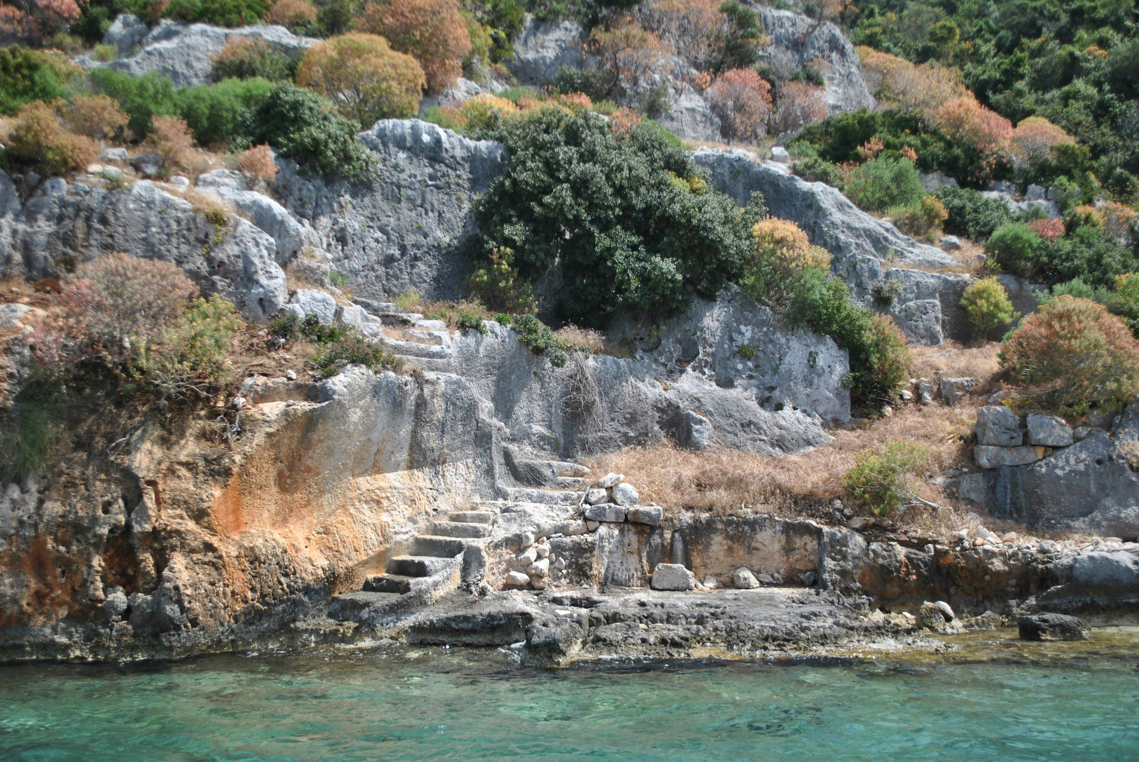 requin géant australie