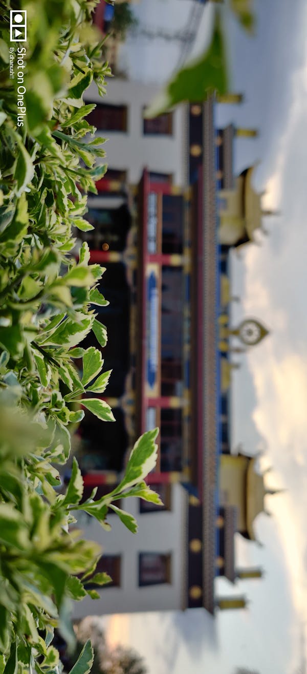 온라인 카지노 비트코인 - 신규가입쿠폰