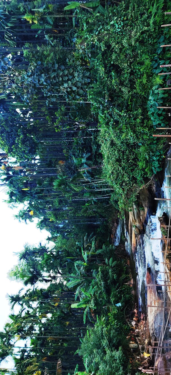 온라인 카지노 비트코인 - 신규가입쿠폰