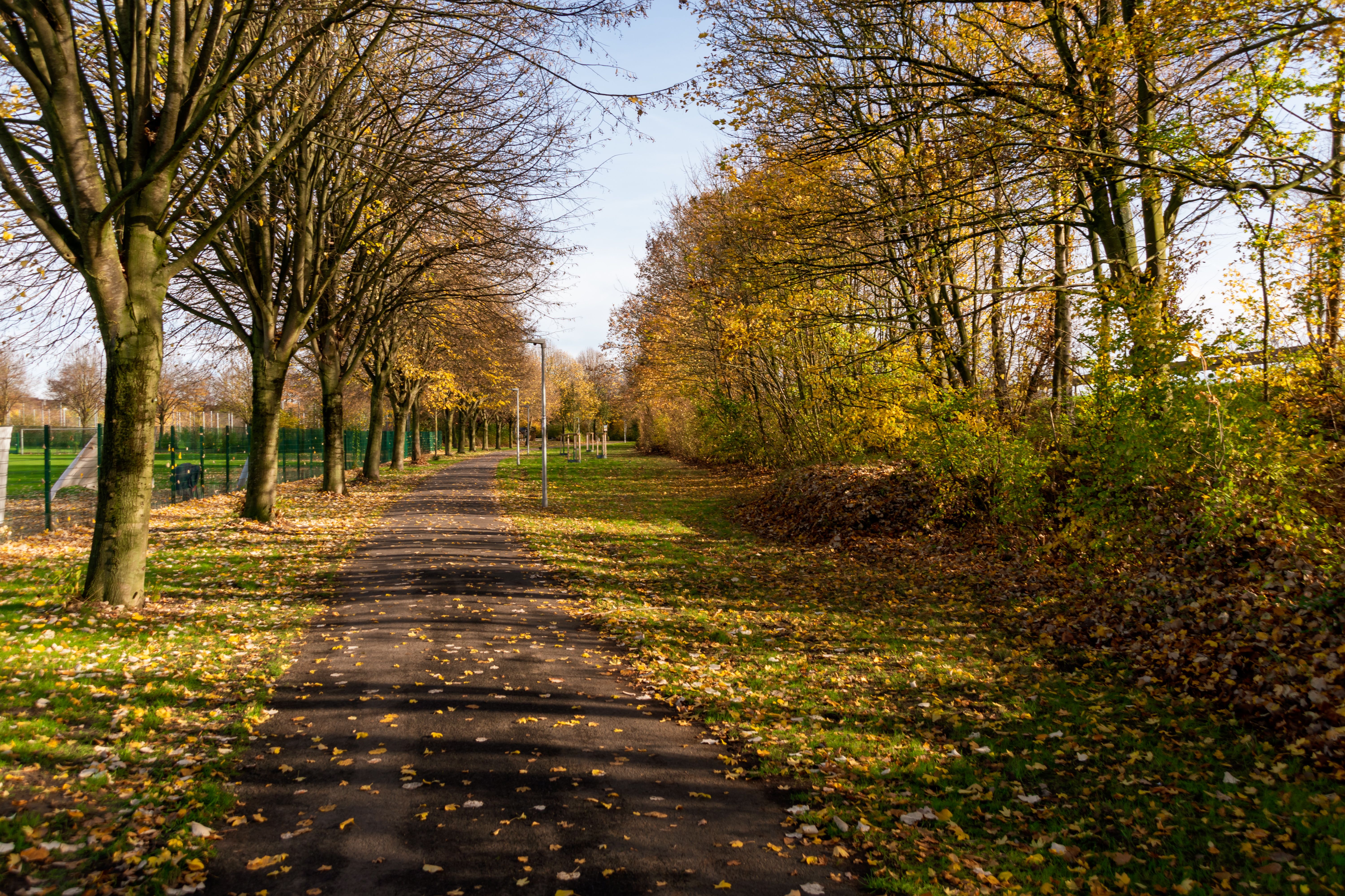 Spend a morning at Homestead Park