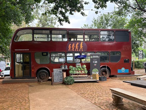 Double-decker bus repurposed as a unique outdoor cafe with fruit display on a sunny day.
