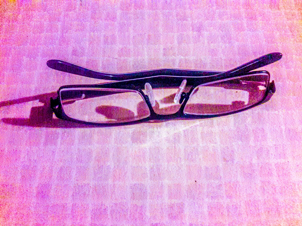 Raccoon Removal in Setauket, Stony Brook, and North Shore Suffolk Communities