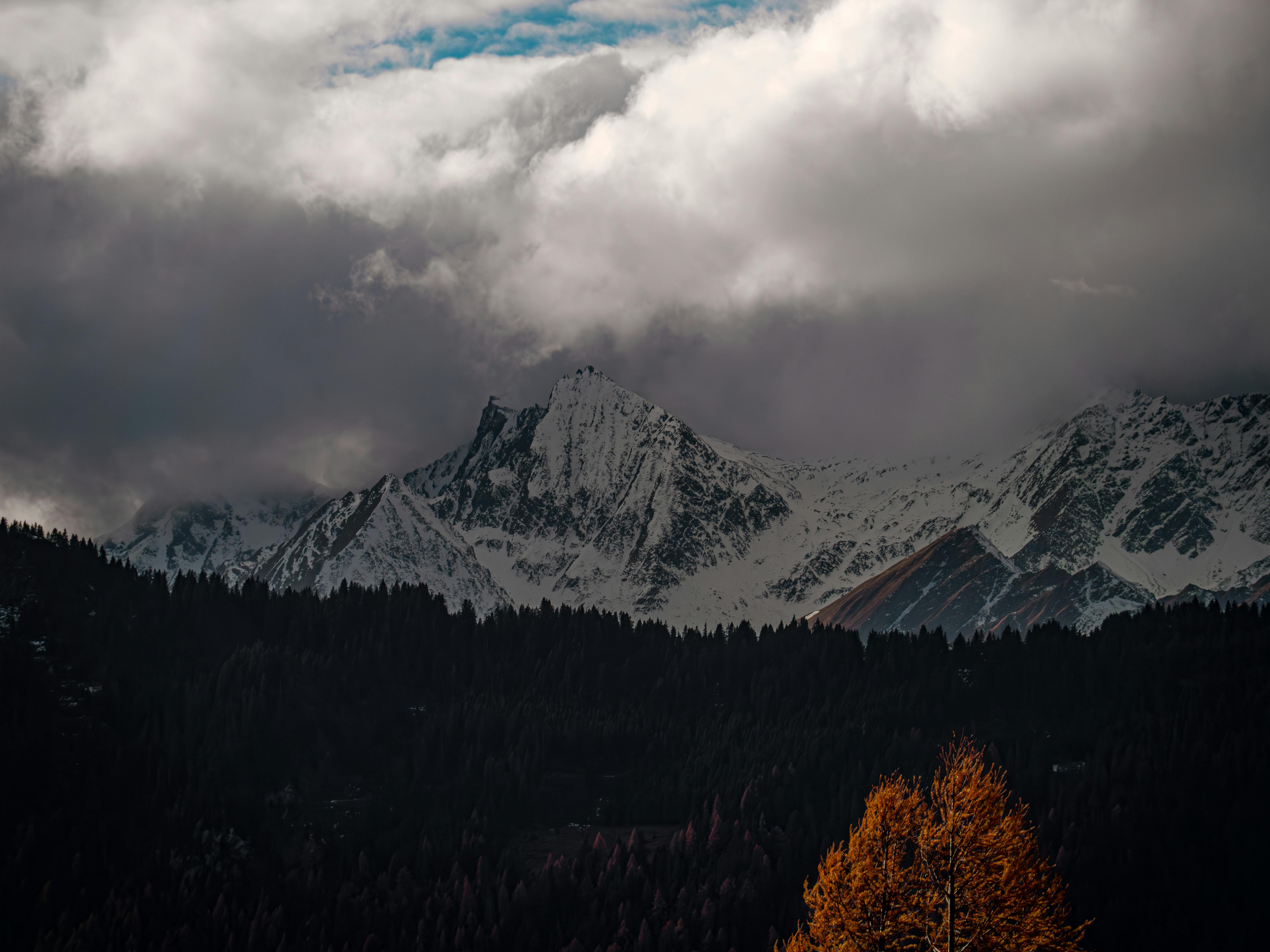 Vertiseit (Q1 Review): Look beyond volatile non-SaaS revenue — Photo by Christopher Politano on Pexels