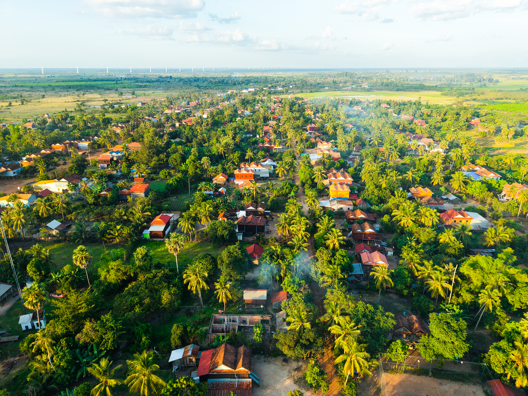 Stunning aerial view of a lush Cambodian village with scattered homes and palm trees.