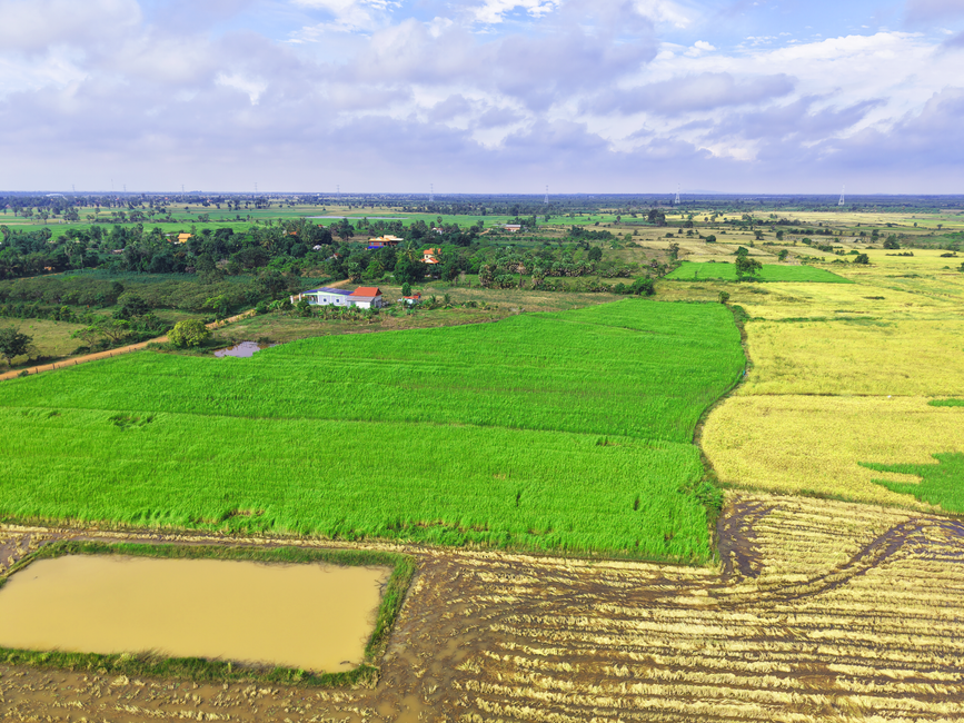 Fotomural Vista aérea de los exuberantes campos verdes y tierras de cultivo en la campiña de Camboya.