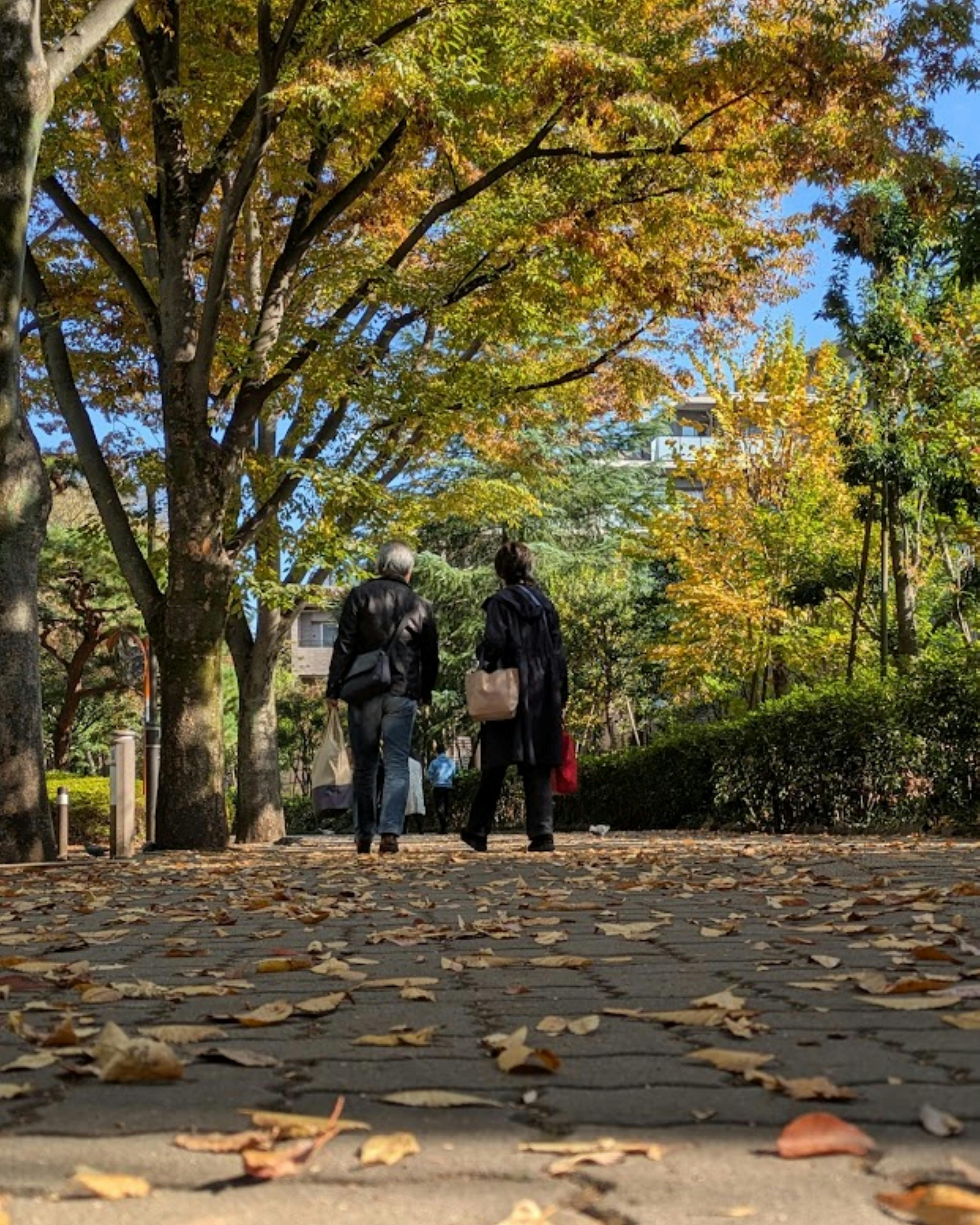 Couple walking together outdoors during casual date