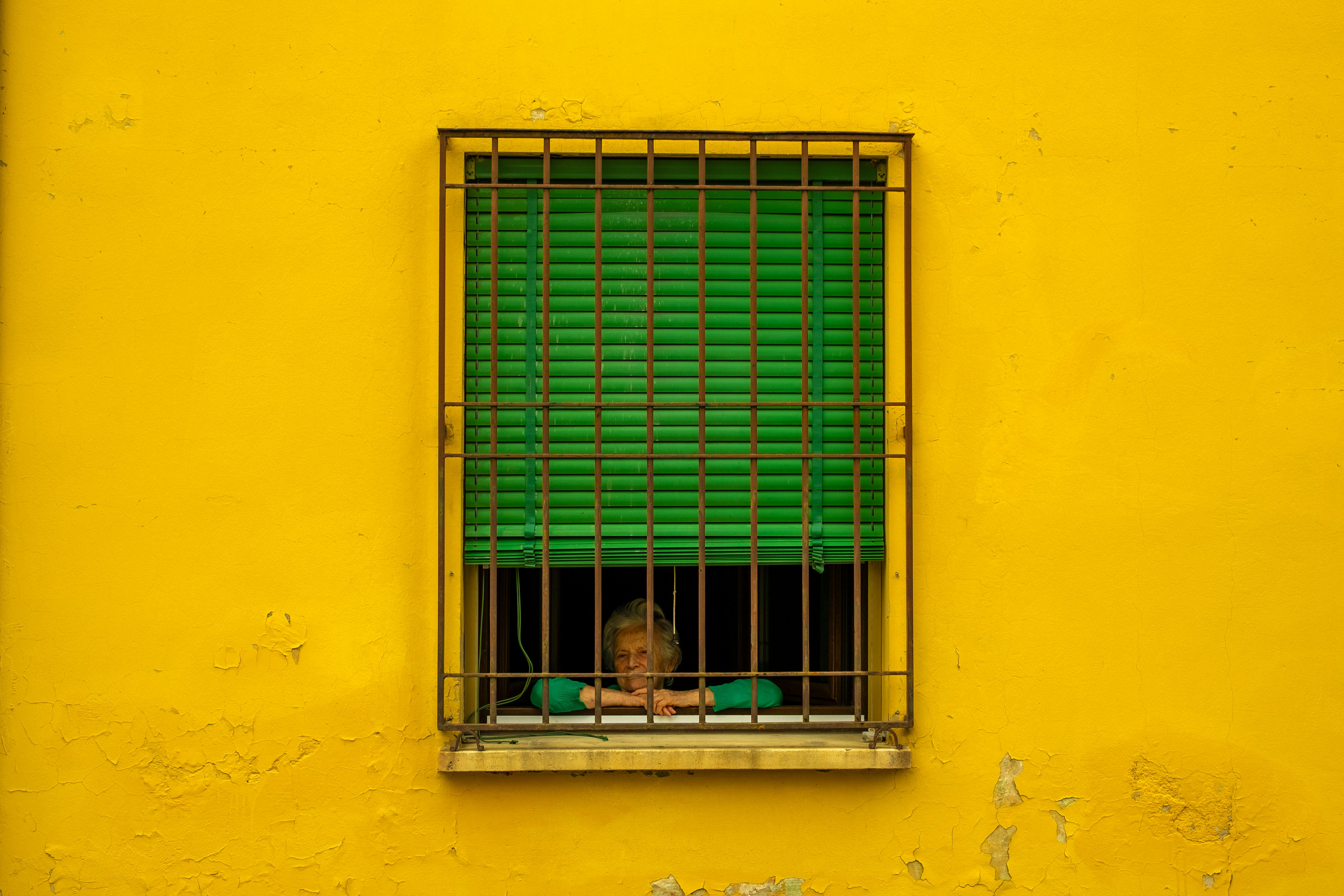 A senior woman looks out from a window with green blinds in a yellow house facade in Dozza, Italy.