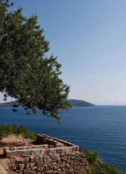 Free Serene coastal landscape featuring a large tree and a view of the sea. Stock Photo