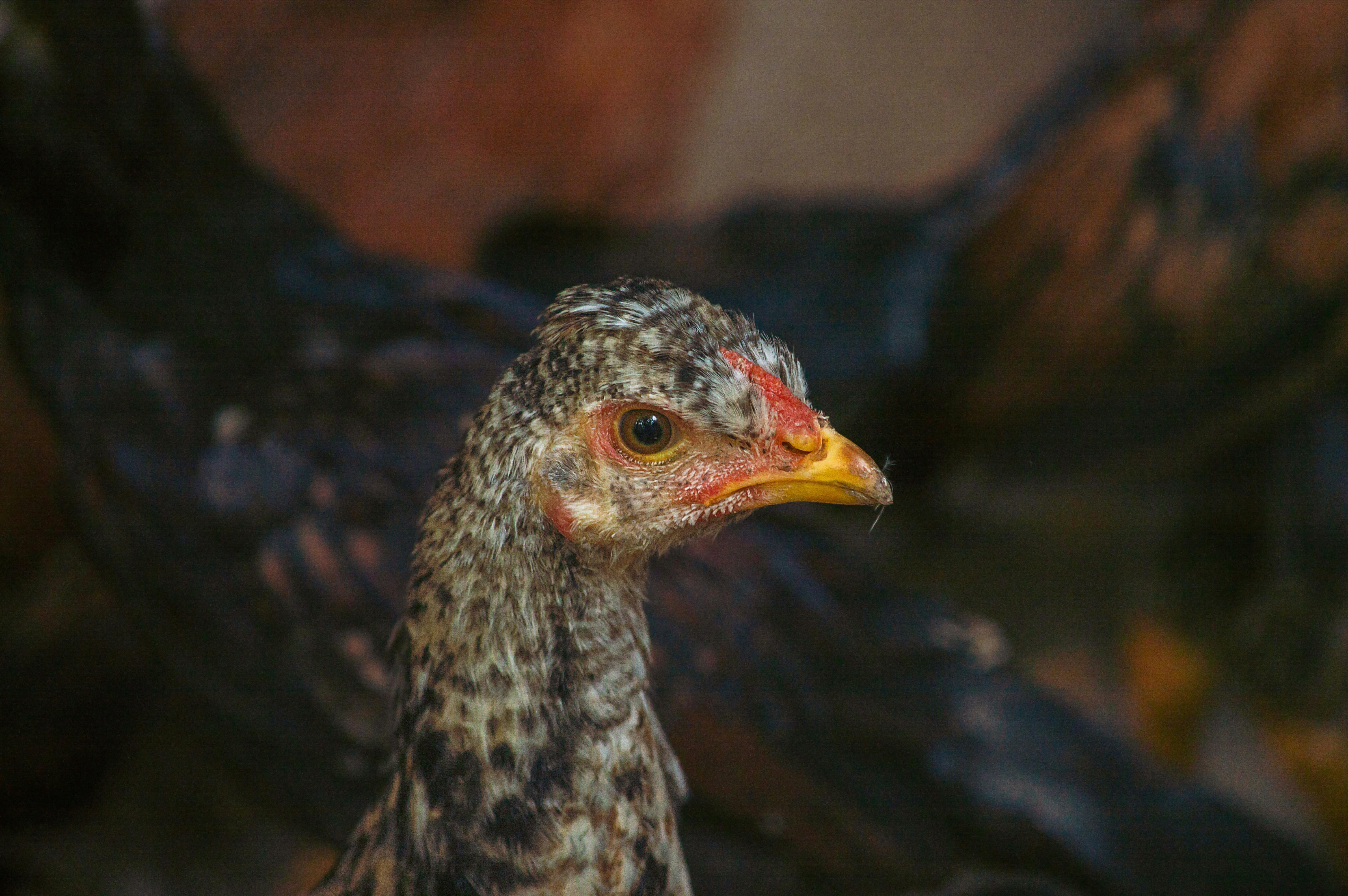 Driving Change with Sustainable Innovation and Green Solutions