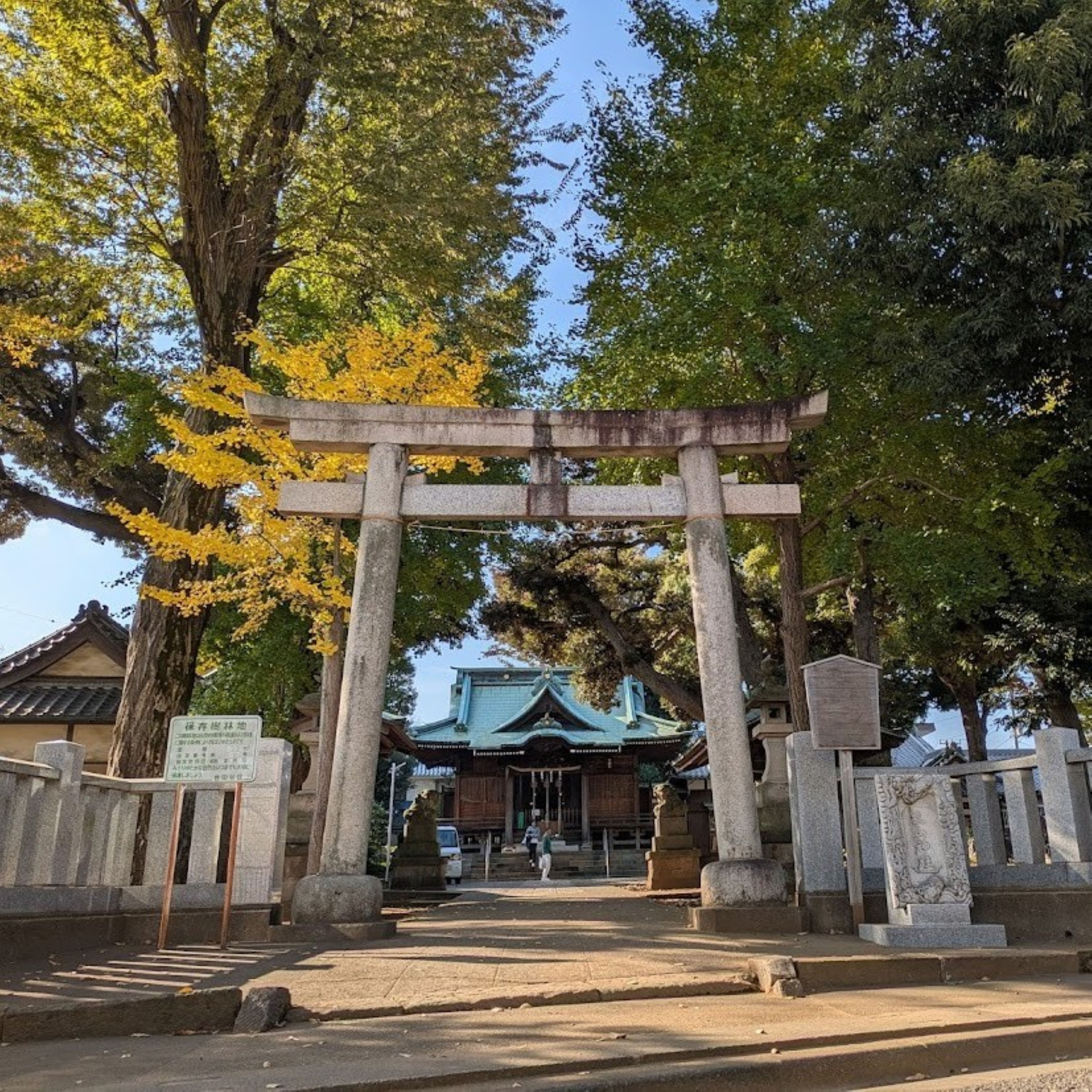 Scenic Torii Gate at Japanese Shinto Shrine · Free Stock Photo