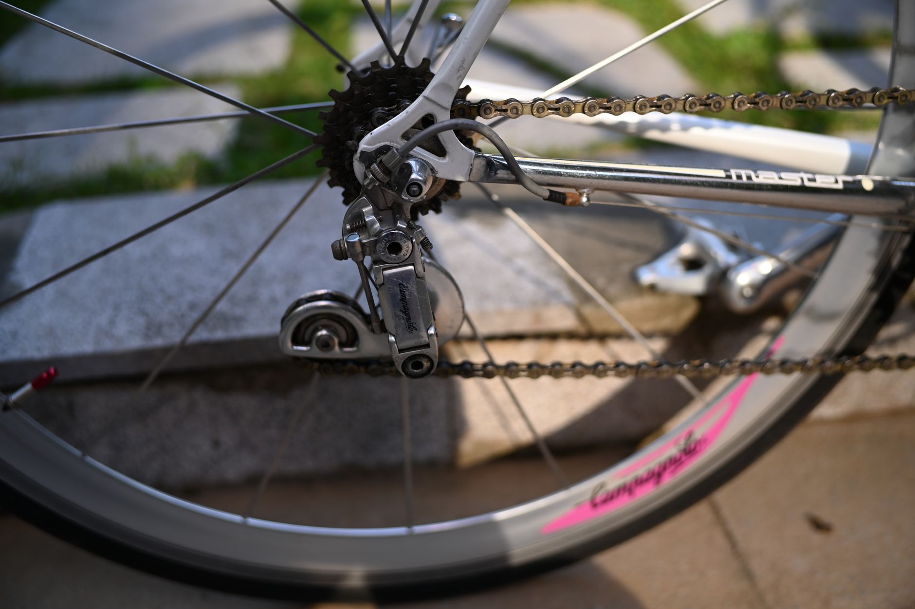 Trasmissione Campagnolo: la guida completa