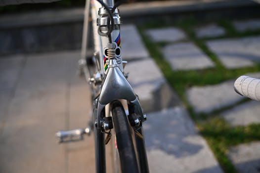 Detailed view of a vintage racing bicycle fork outdoors on a sunny day.