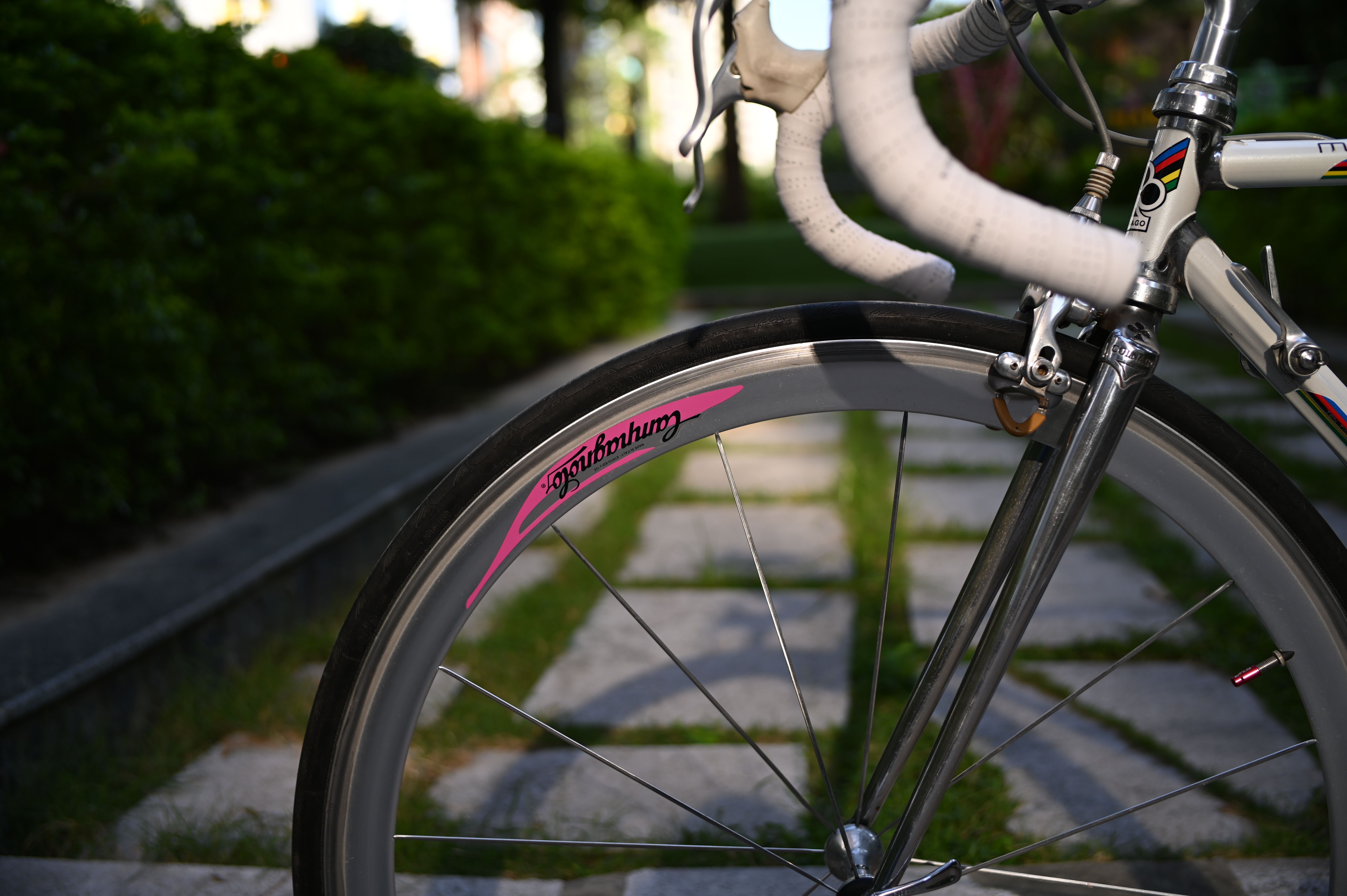 Detailed view of a stylish road bike wheel on a paved path with lush green garden background.