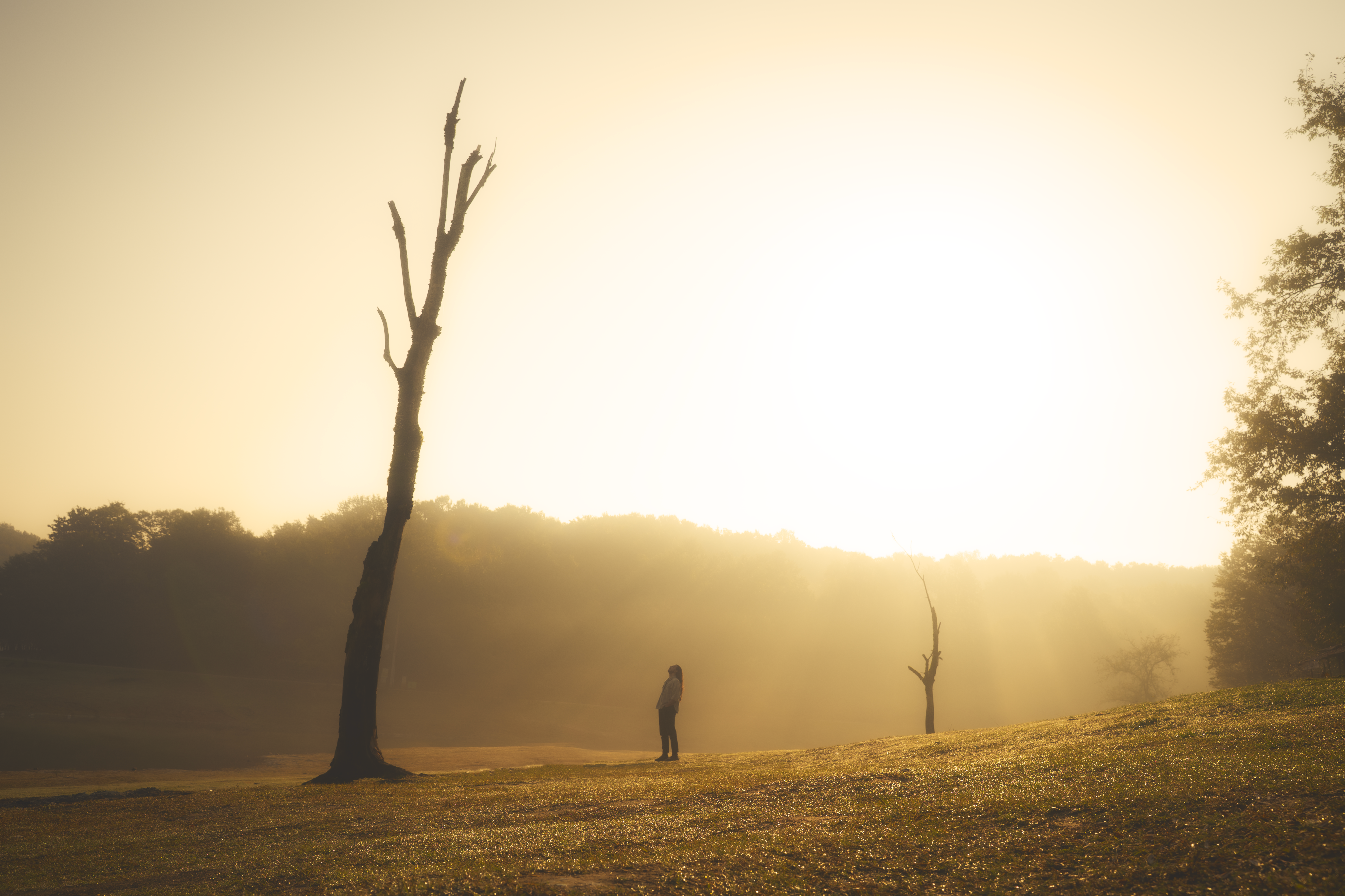 Silhouette of a Lone Figure in Misty Sunrise Landscape · Free Stock Photo