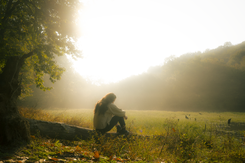 Free A woman sits on a fallen tree in a misty forest, bathed in warm sunlight. Stock Photo