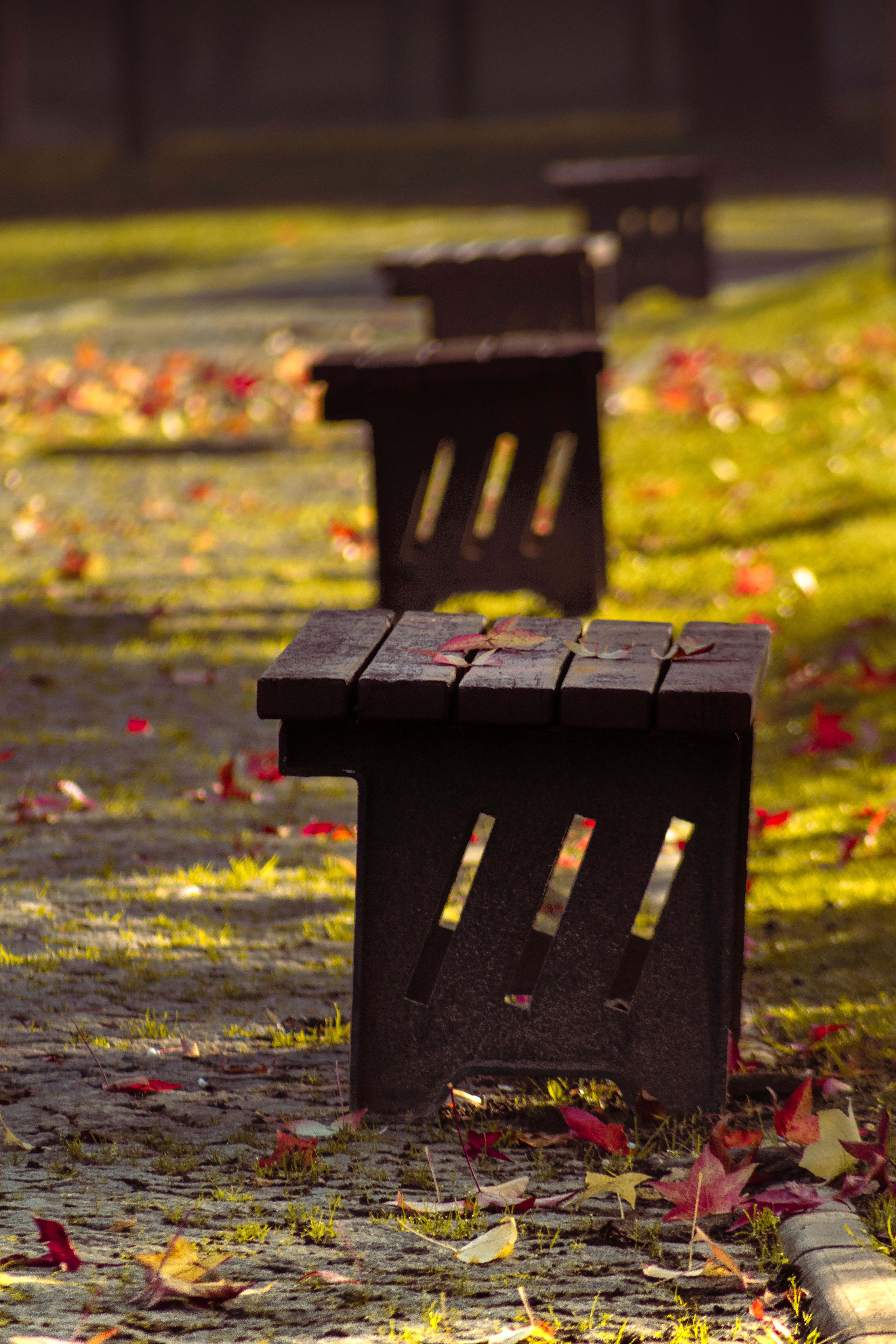 Fotomural Bancos rústicos de madera alineados en un parque durante una pintoresca tarde de otoño en Bursa, Turquía.