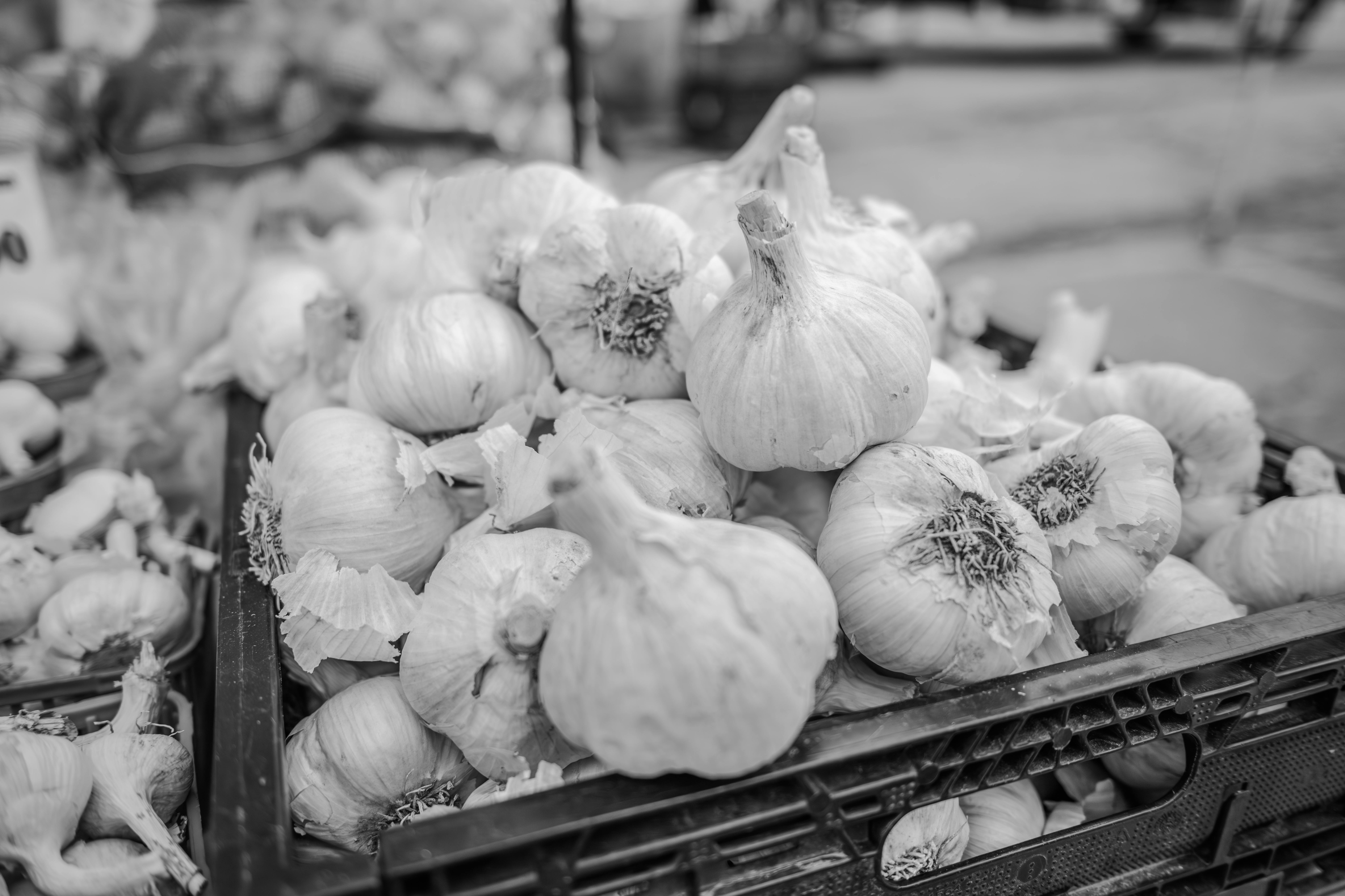 Alien Culinary Delights: Experiencing the Tastes of Unknown Worlds