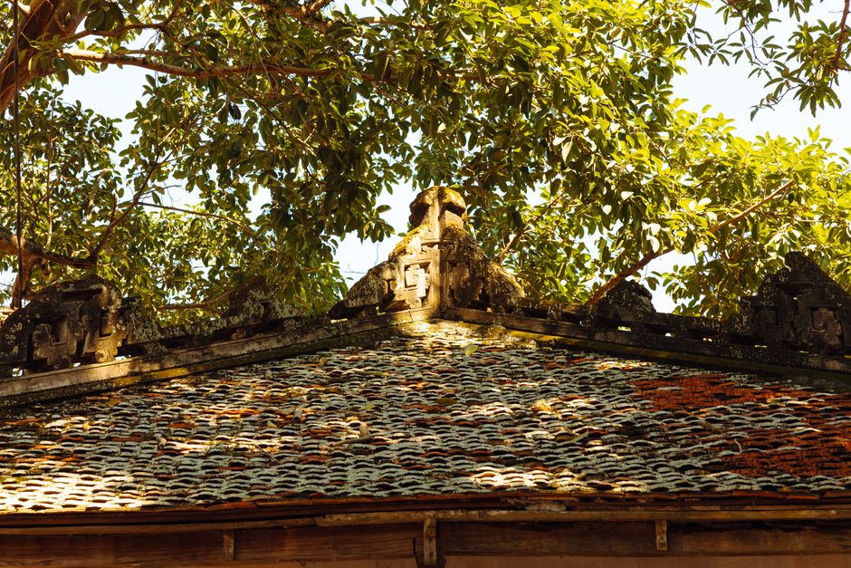 signs of termites in your home
