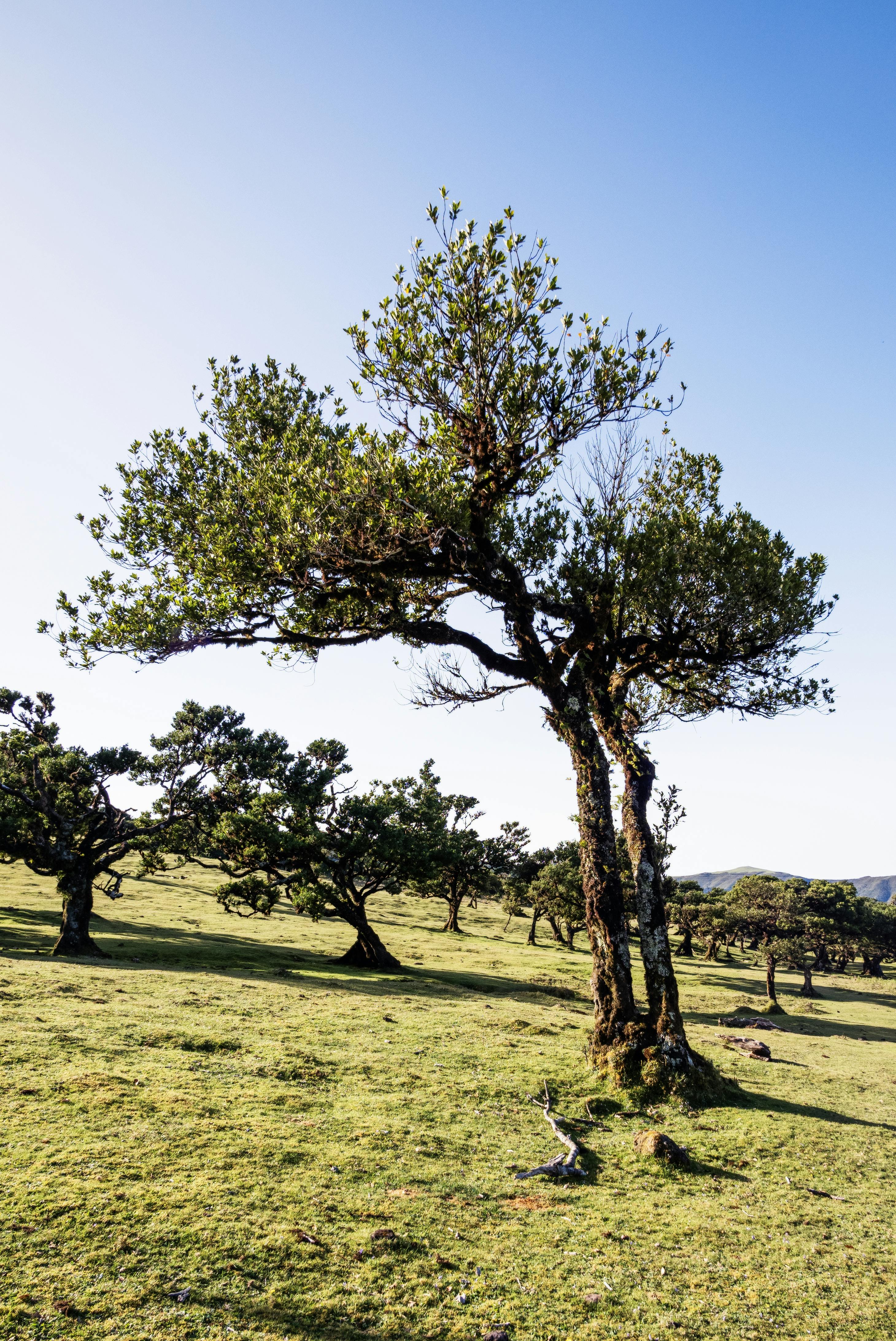 동양생명 홈페이지
