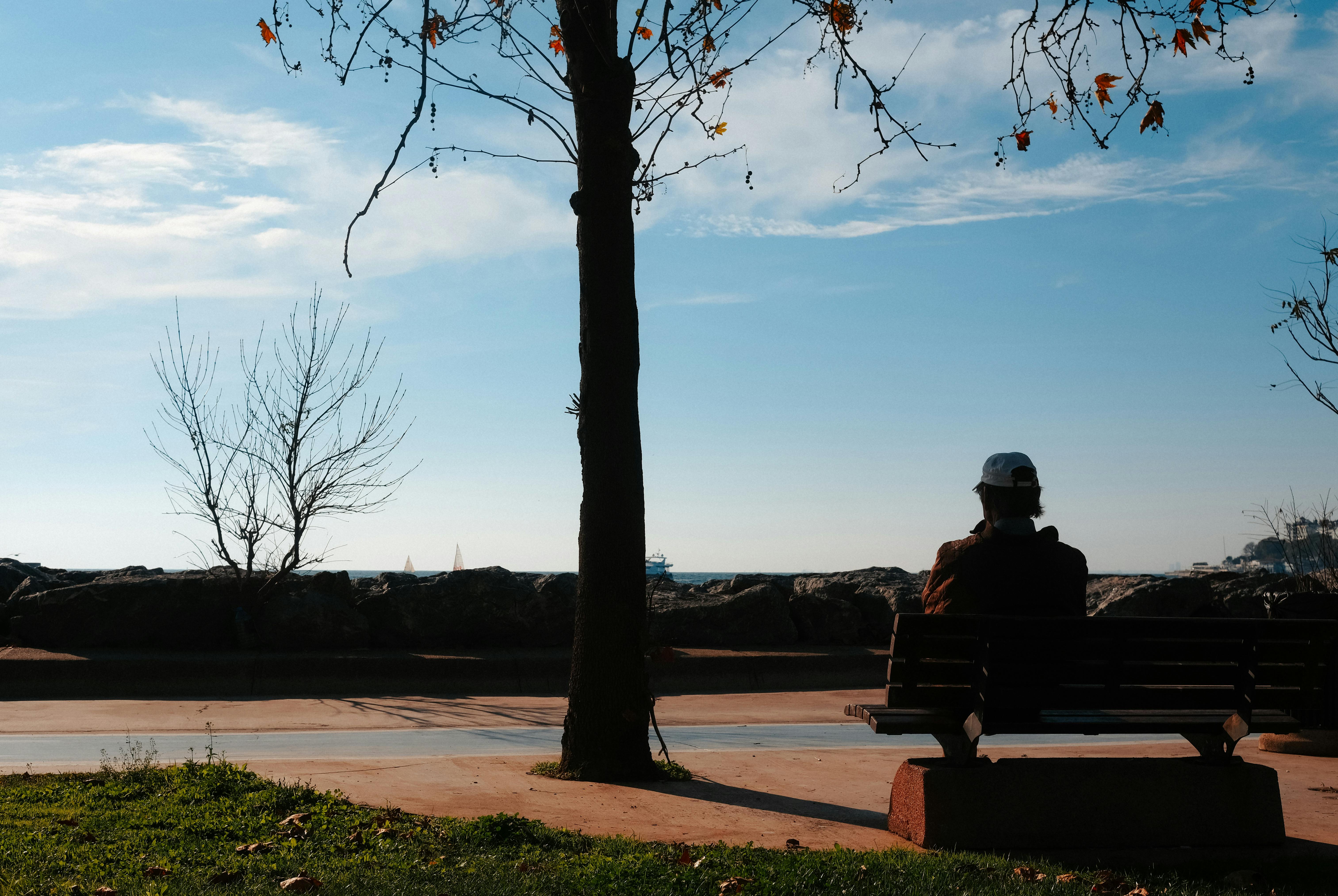 Mindfulness Exercises for Mental Clarity and Guided Meditations