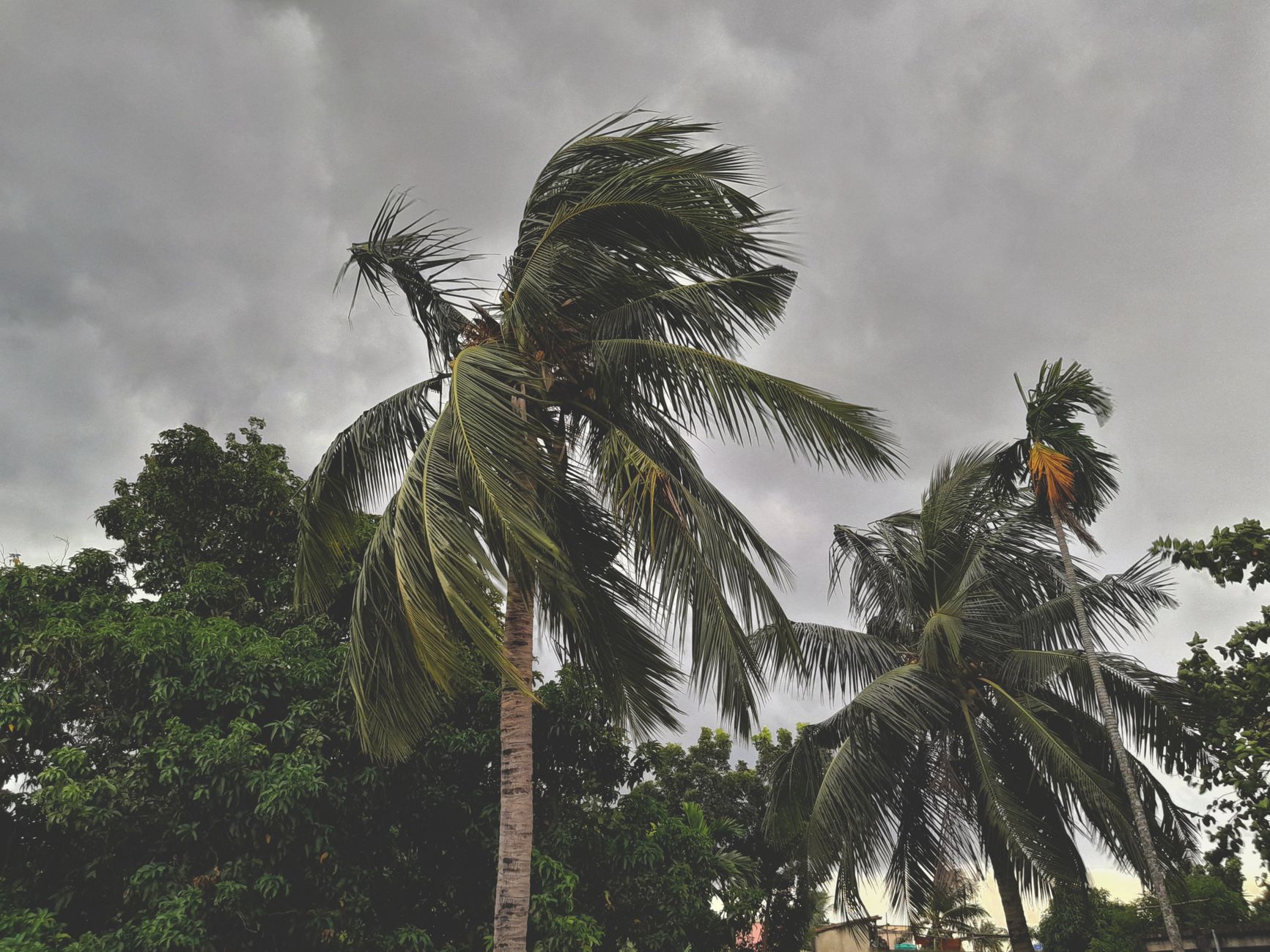 Impact of Weak Monsoon on India's Consumption Patterns