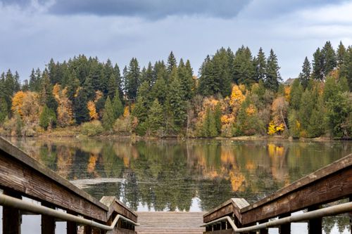 Free Beautiful view of a lake with autumn trees reflecting on the water. Tranquility in nature. Stock Photo