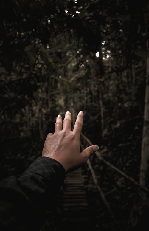 Free Person in Black Long Sleeve Shirt Raising Left Hand Stock Photo