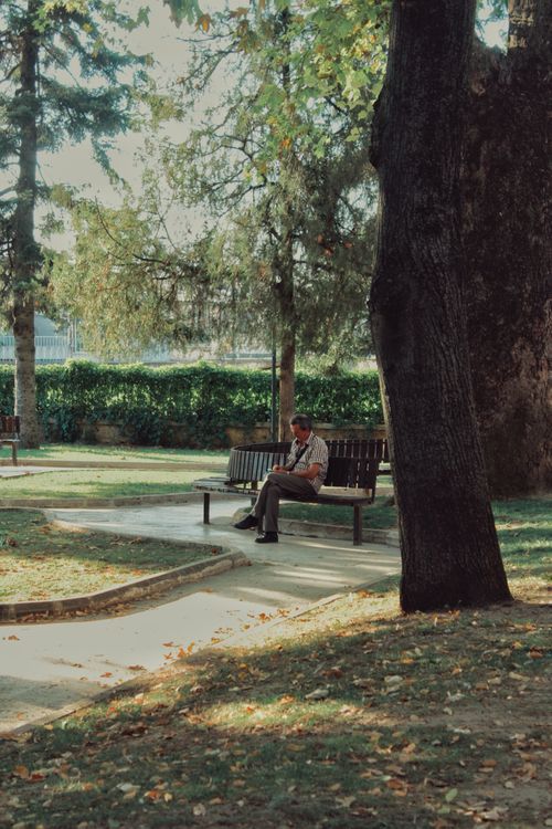 Free Man reading on a park bench under trees in Bursa, Türkiye. Stock Photo