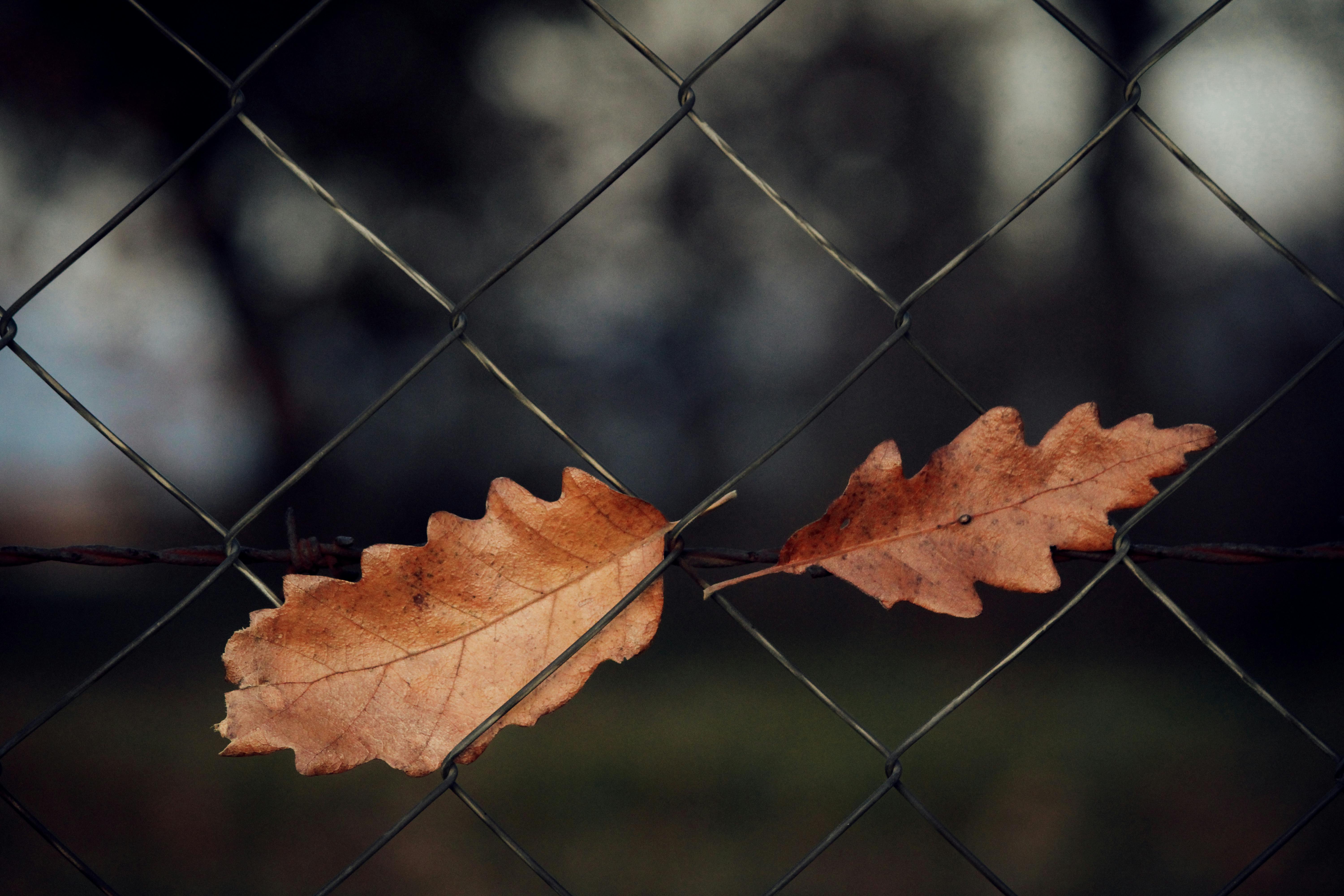 Understanding Mediation and Arbitration in Employee Disputes