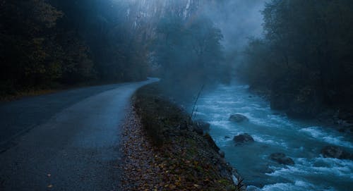 Immagine gratuita di fiume, nebbia, strada